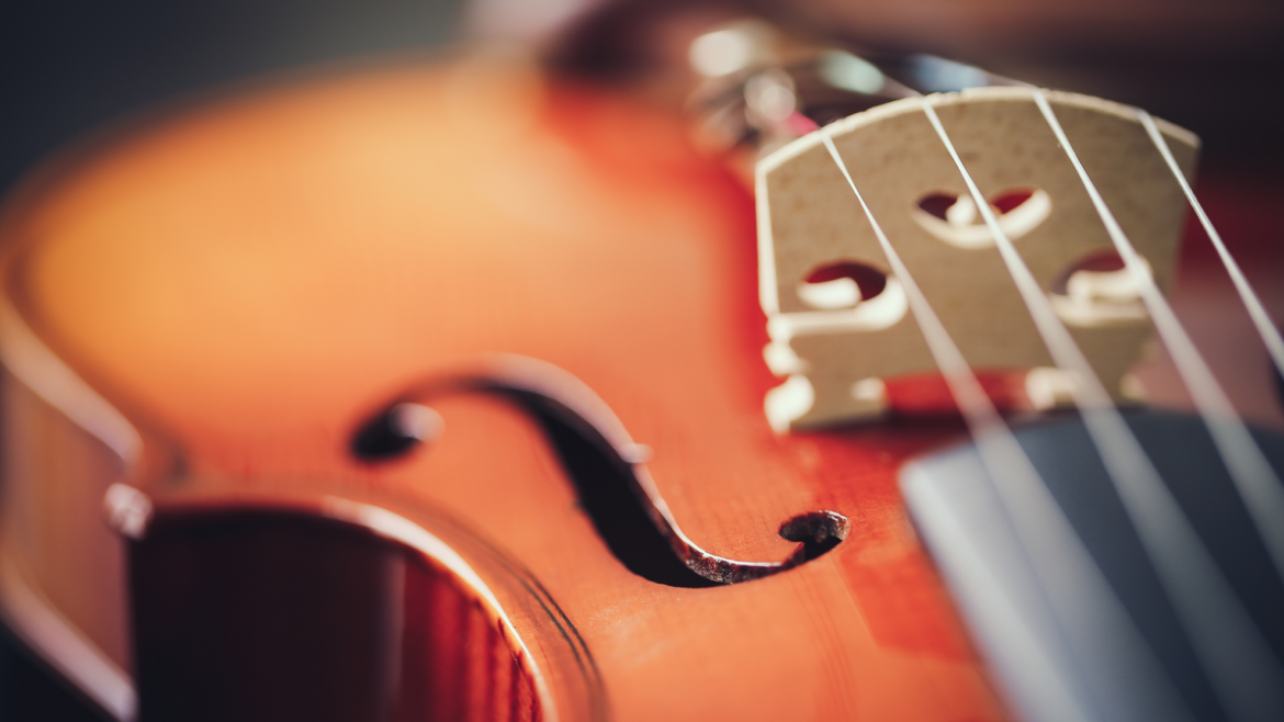 ViolinCloseupWeb.png